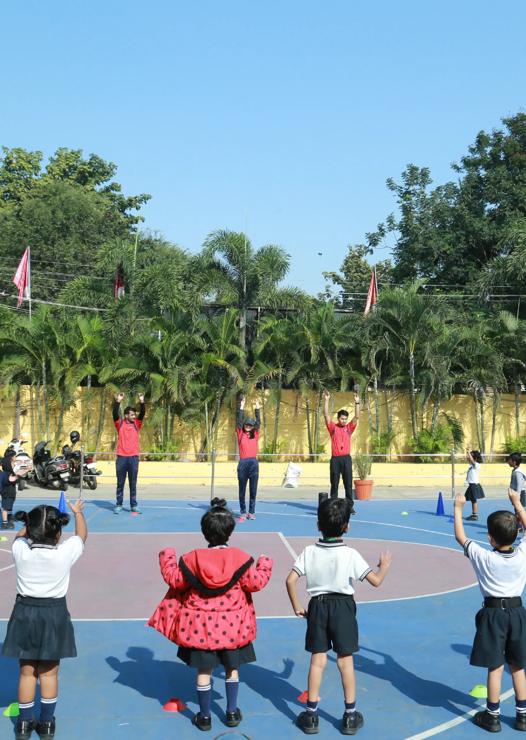 Triumphpe Transform Our Impressive